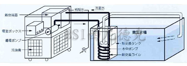 恒温水循环装置